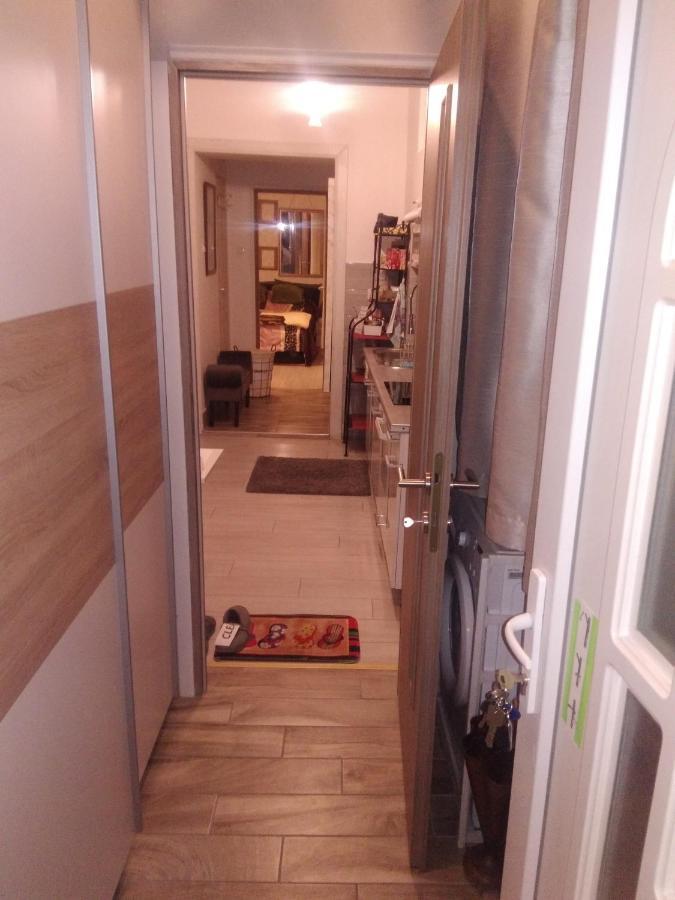 Grey Orchid Apartment - Studio Budapest Exteriör bild